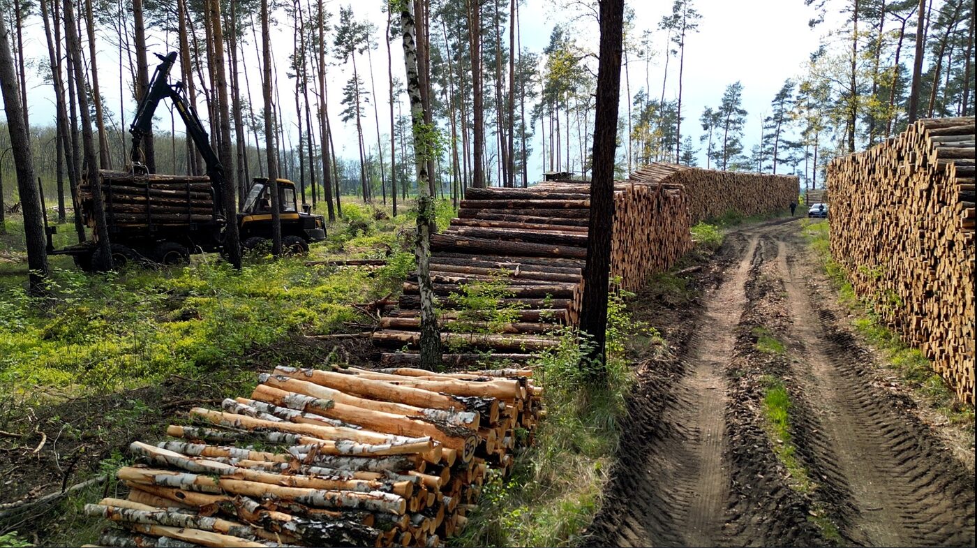 Forwarder Forstlogistik