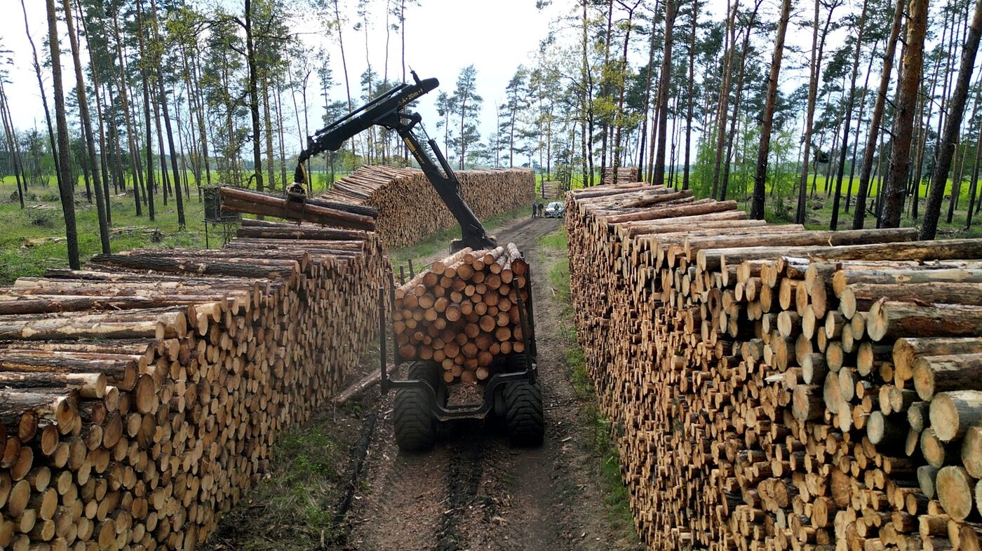 Forwarder Rückung