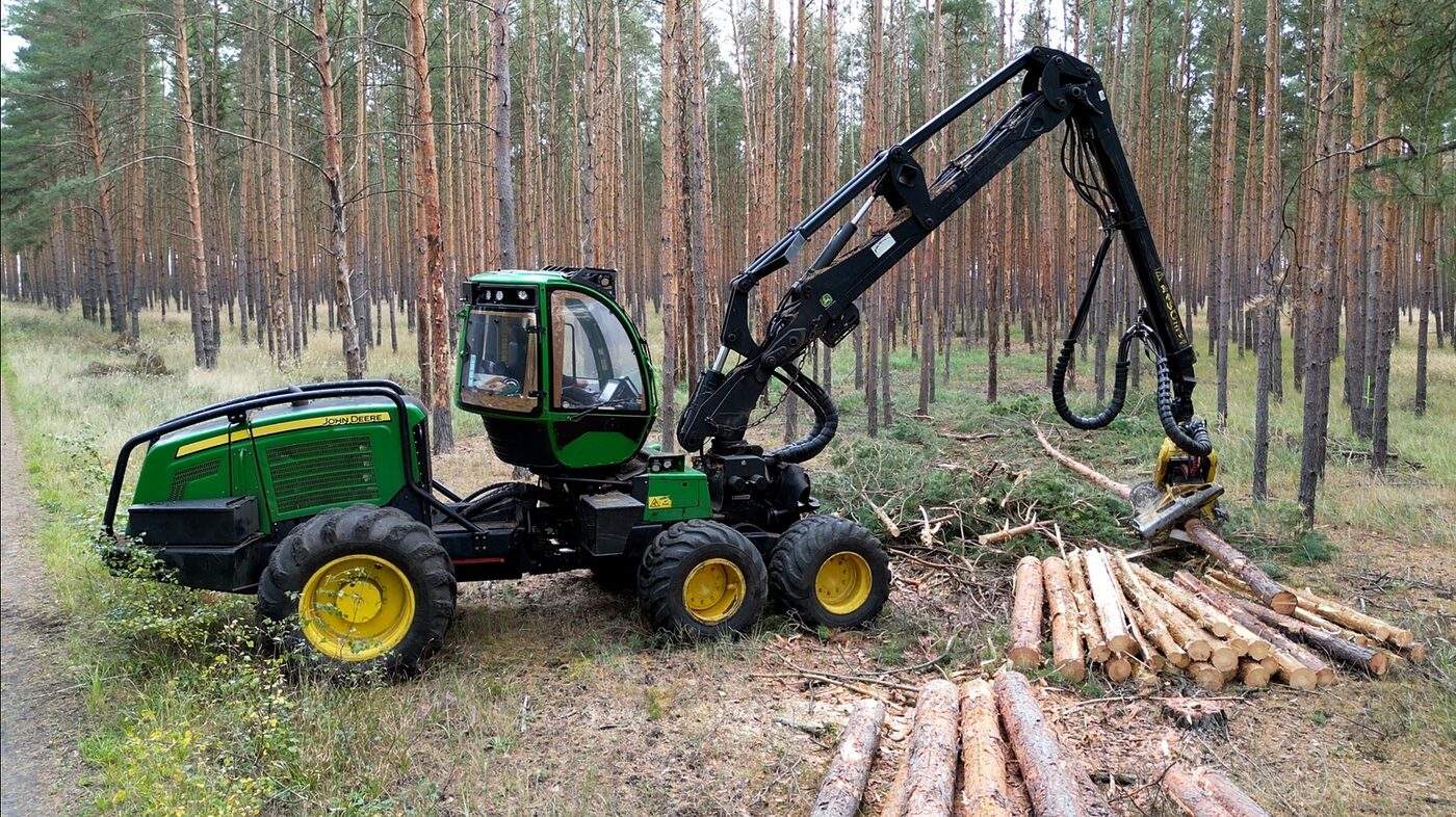 Harvester John Deere im Kiefernbestand